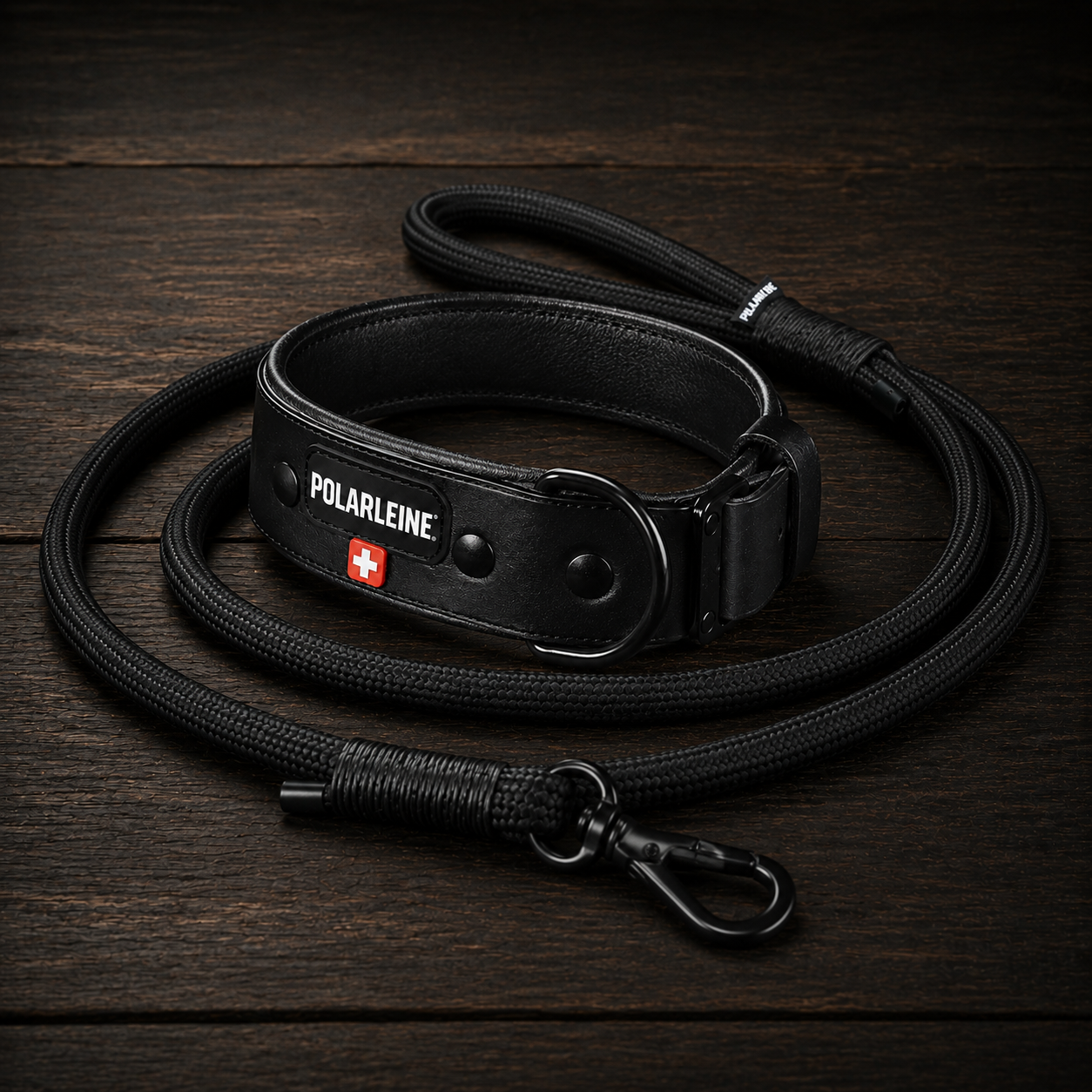 DOGGEAR und Halsband Classic Schwarz Set - Schweizer Hundeleine mit Karabiner